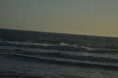 DSC_7269 (Large).JPG